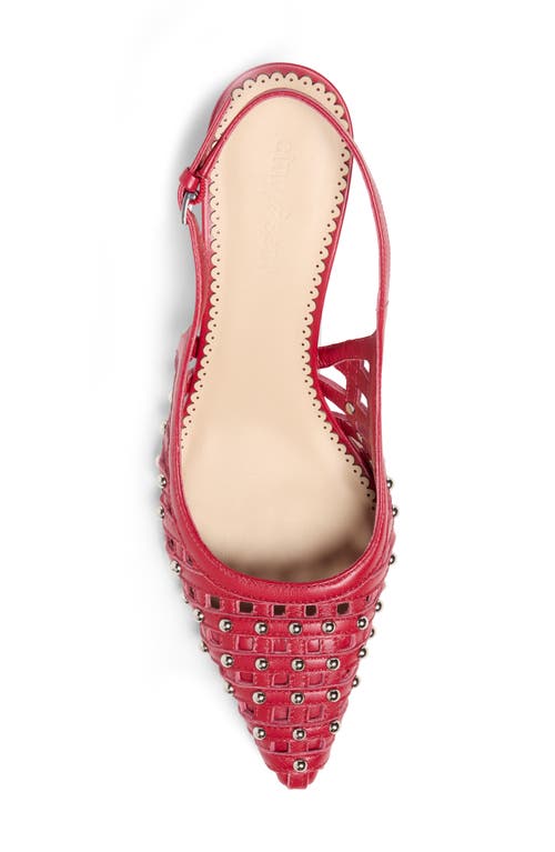 Cinq À Sept Rena Cage Studded Slingback Pointed Toe Pump In Burgundy
