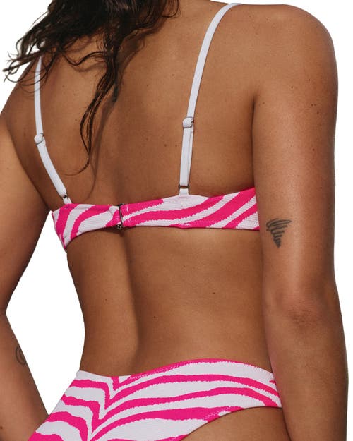 Bright Swimwear Lola Top In Sweet Safari