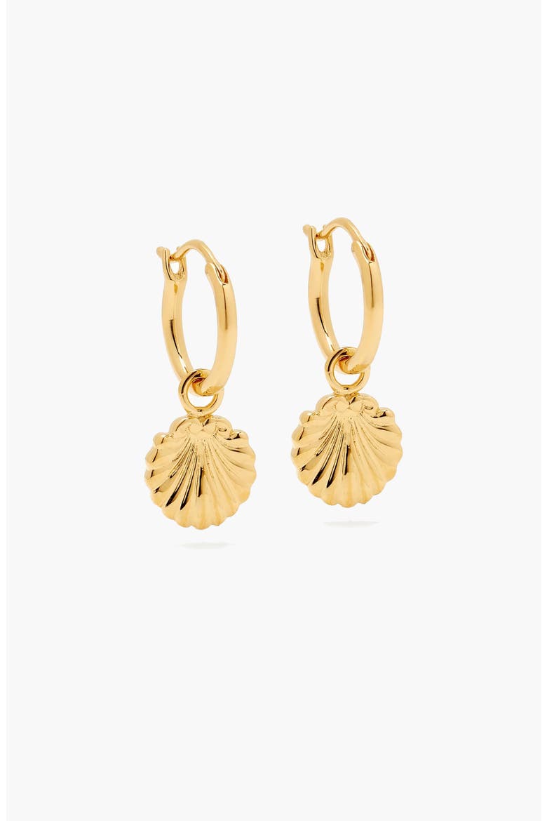 Concha Mini Charm Hoop Earrings in Gold, Main, color, Gold