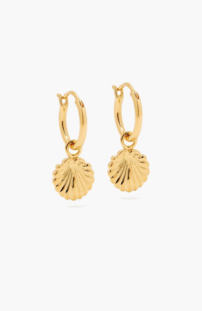 YOJ Concha Mini Charm Hoop Earrings in Gold, Main, color, Gold