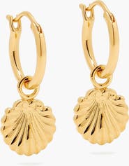 YOJ Concha Mini Charm Hoop Earrings in Gold