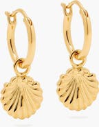 YOJ Concha Mini Charm Hoop Earrings in Gold