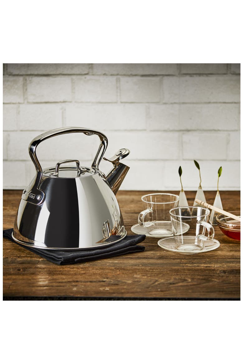 2-Quart Stainless Steel Tea Kettle, Alternate, color, STAINLESS STEEL