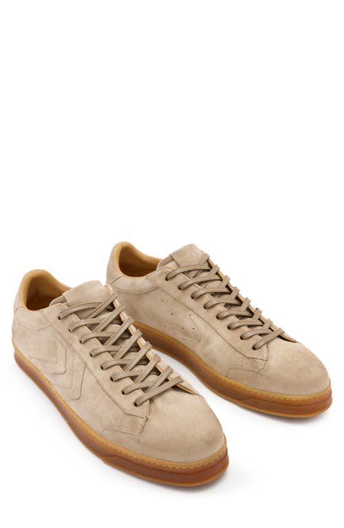 John Varvatos 315 Street Low Top Sneaker In Neutral