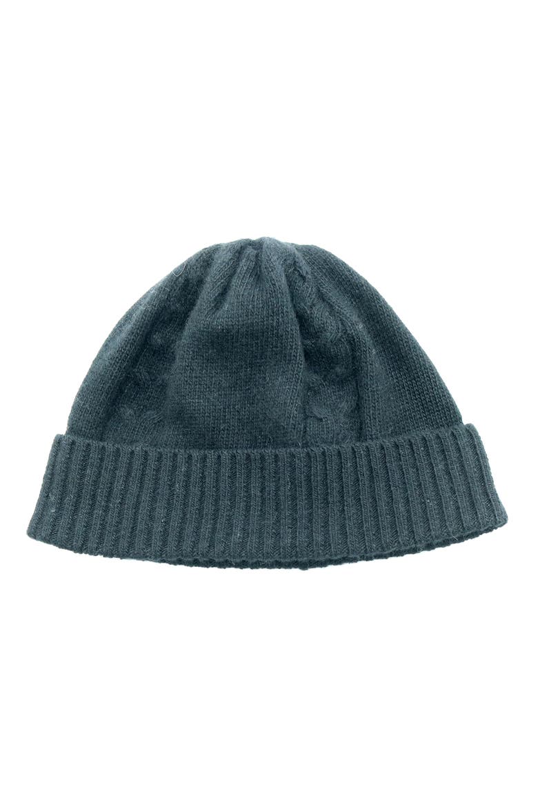 Cable Knit Cuff Beanie, Main, color, BLACK