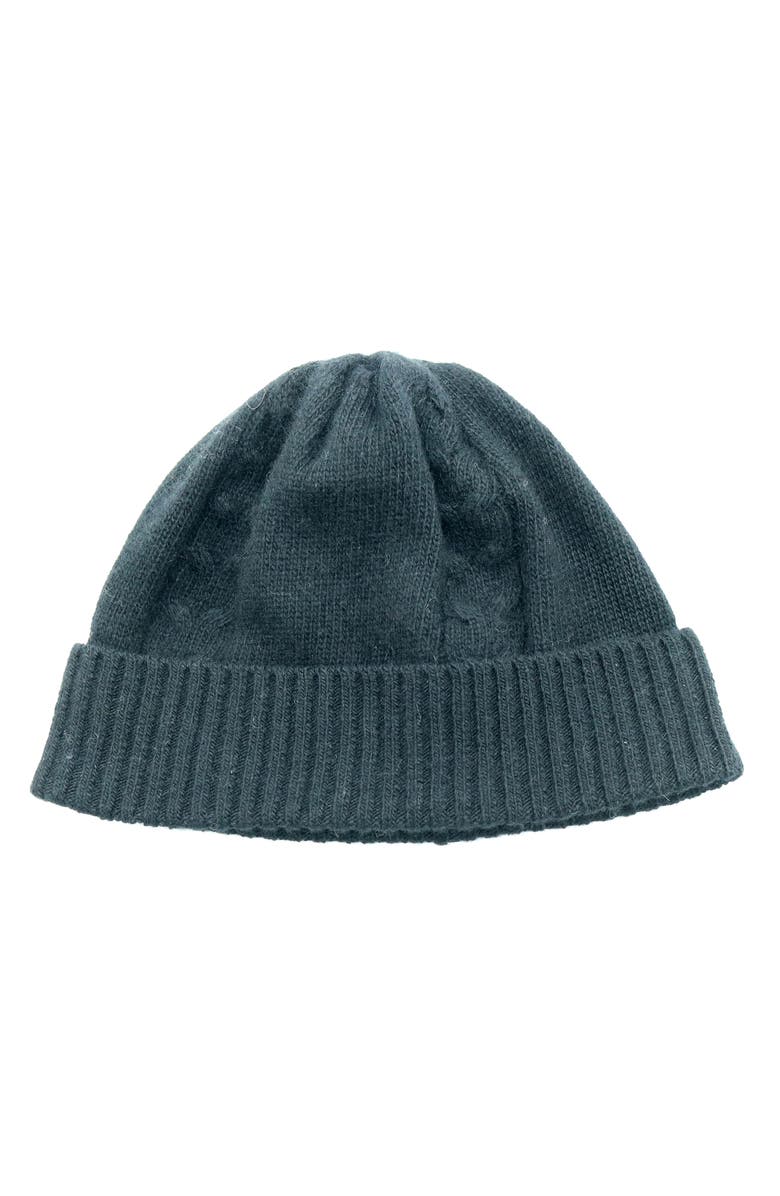Portolano Cable Knit Cuff Beanie, Main, color, 