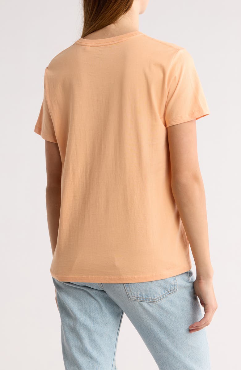 Rip Curl Buena Vista Standard Graphic T-Shirt, Alternate, color, 