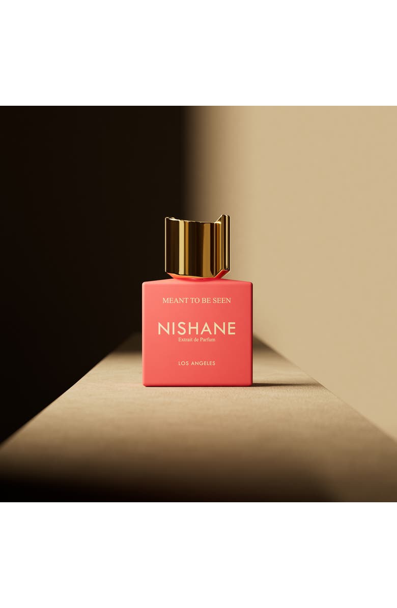 Nishane Meant To Be Seen Extrait De Parfum, Alternate, color, NO COLOR