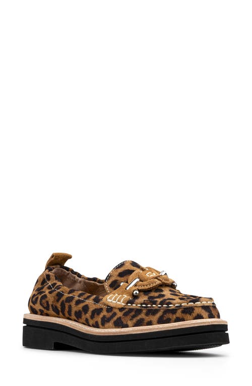 Donald Pliner Lomma Platform Loafer In Brown