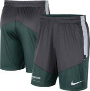 Nike Men's Nike Charcoal/Green Michigan State Spartans Team Performance Knit Shorts
