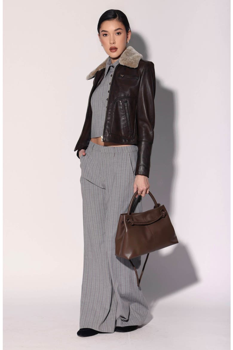 Liza Leather Fur Jacket, Alternate, color, Brown