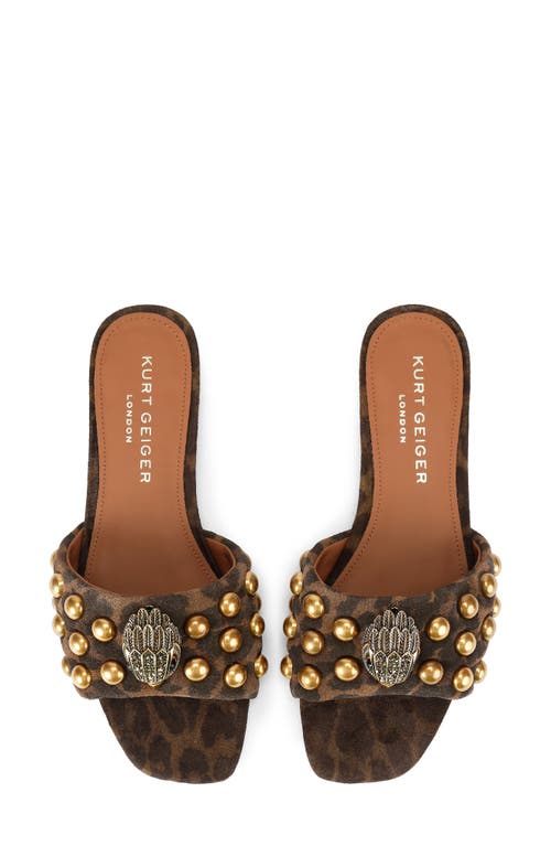 Kurt Geiger London Kensington Stud Slide Sandal In Brown