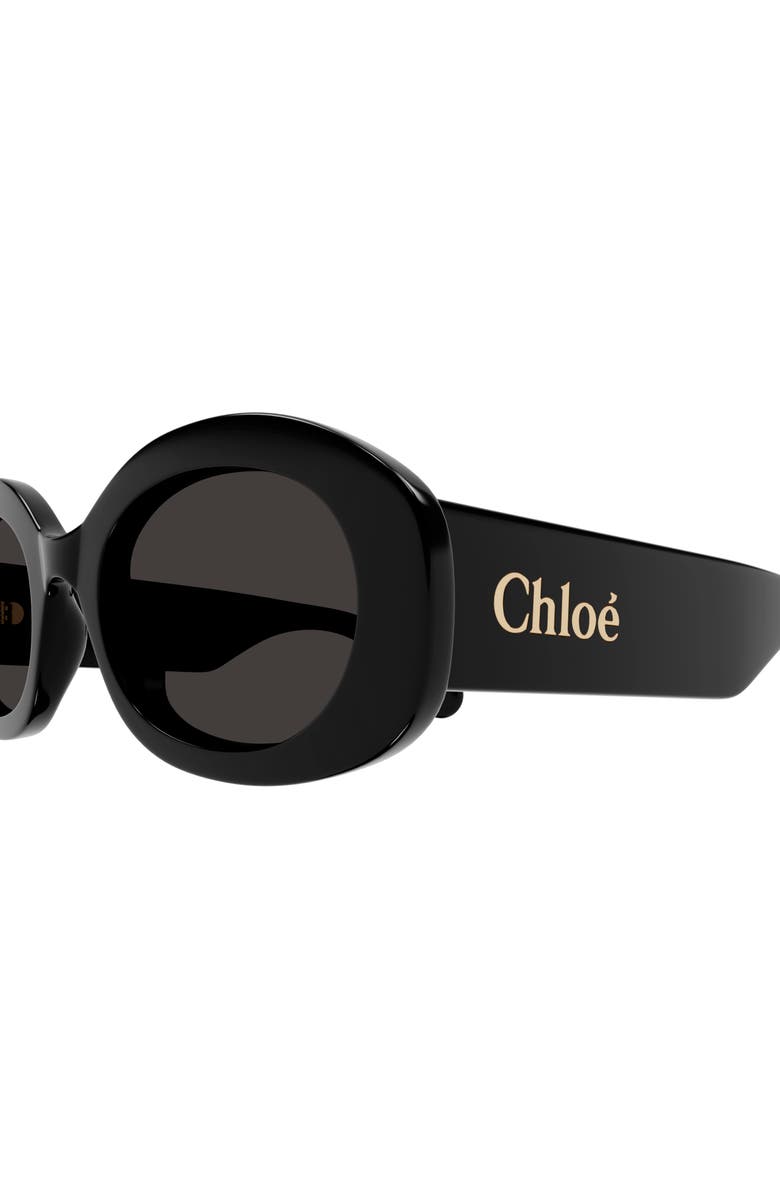Chloé 53mm Oval Sunglasses, Alternate, color, 