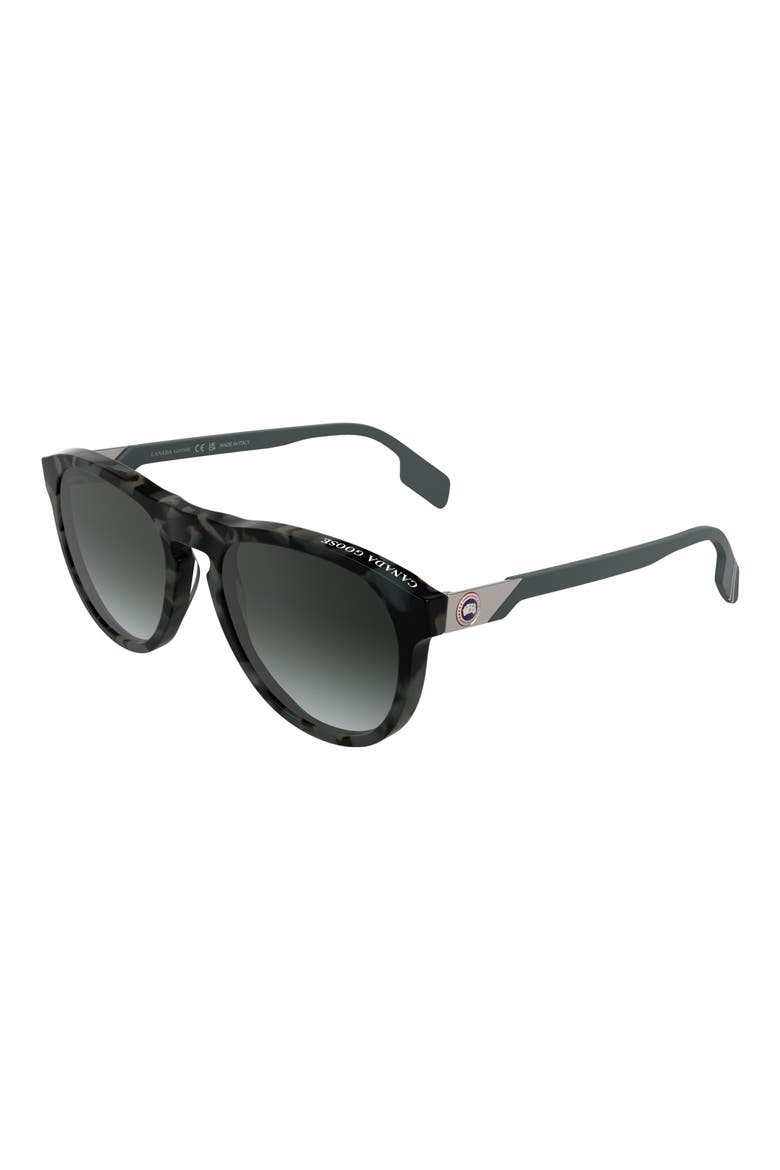 Disc Logo 55mm Oval Sunglasses, Alternate, color, BLACK/ HAVANA GREY