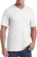 Harbor Bay by DXL Big & Tall Moisture-Wicking Jersey V-Neck T-Shirt