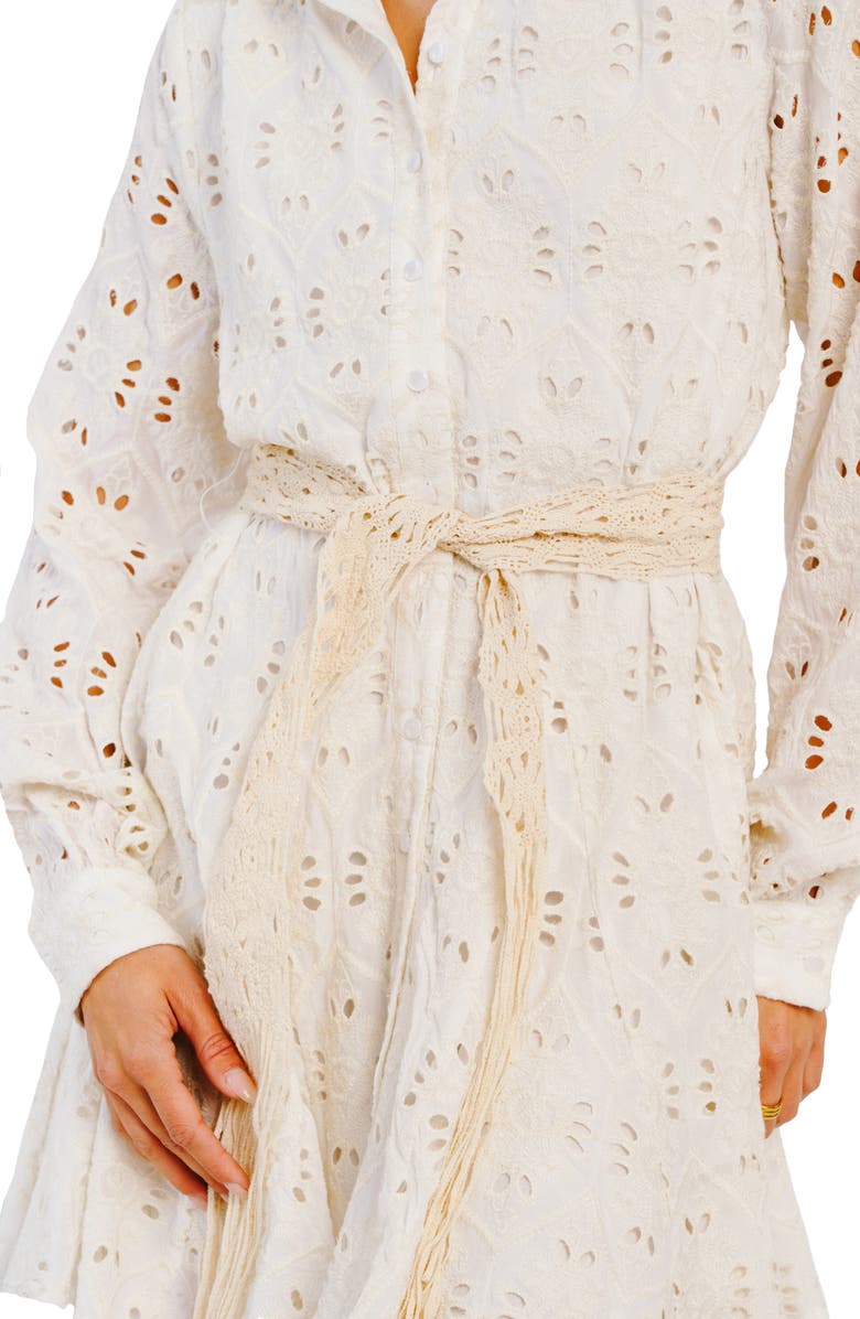 CIEBON Serane Embroidered Long Sleeve Mini Shirtdress, Alternate, color,