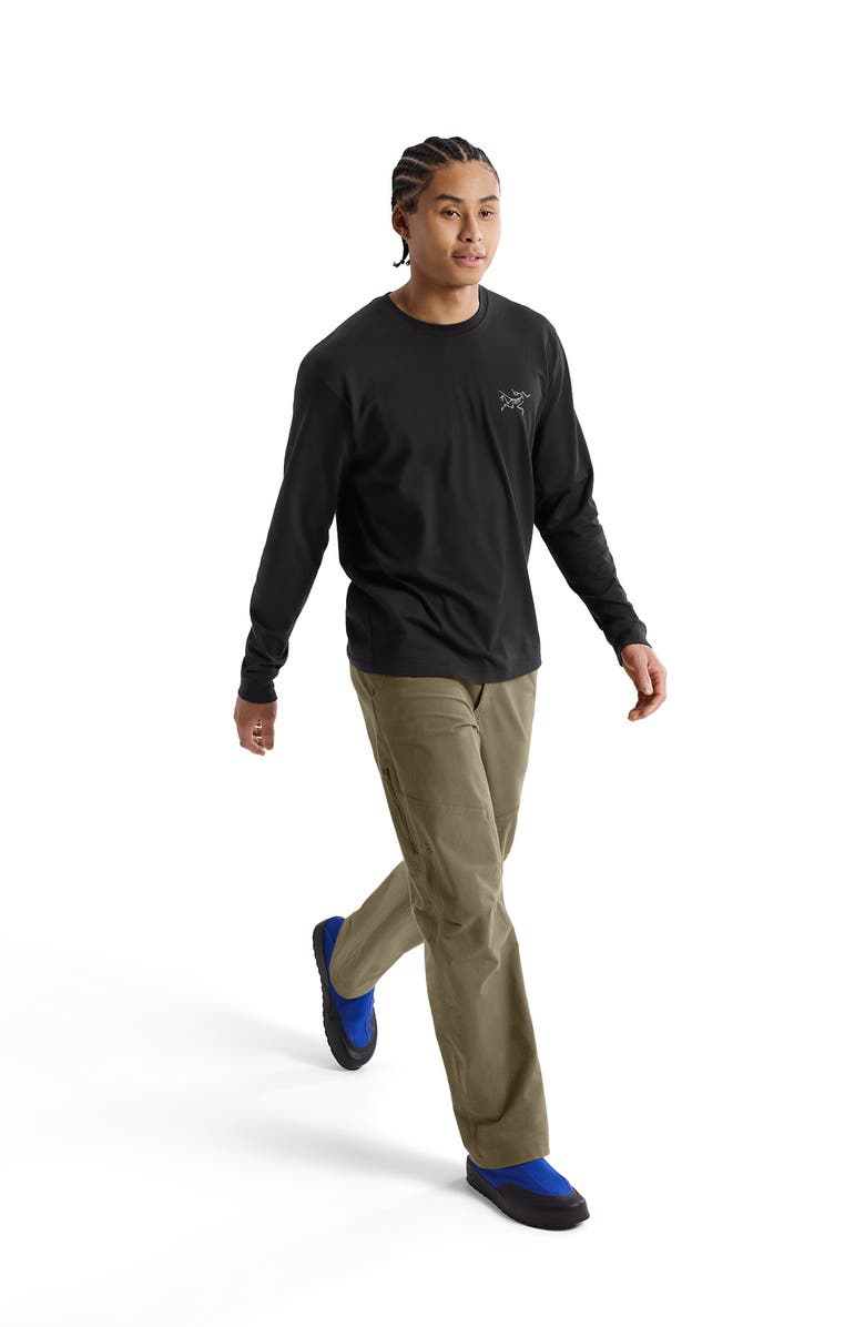 Arc'teryx Kragg Long Sleeve Cotton Graphic T-Shirt, Alternate, color, 