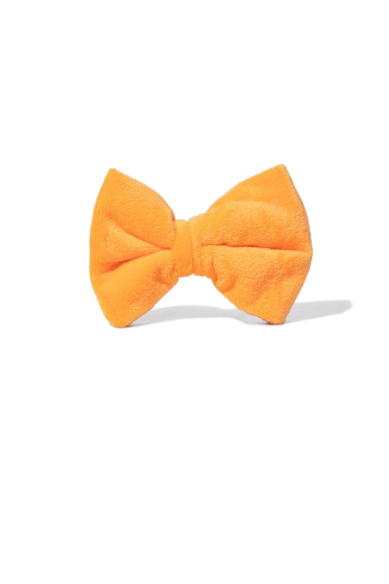 Ezra Bow Tie, Main, color, Ezra