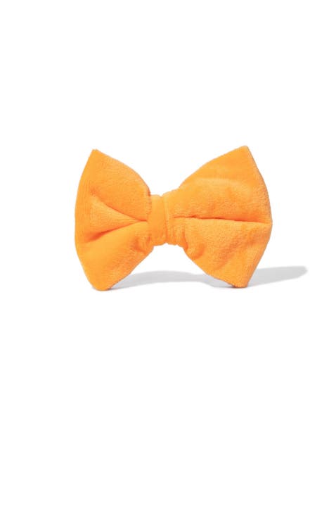 Ezra Bow Tie