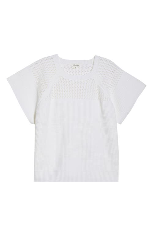 Sugarlips Alma Open Stitch Short Sleeve Sweater In Multi