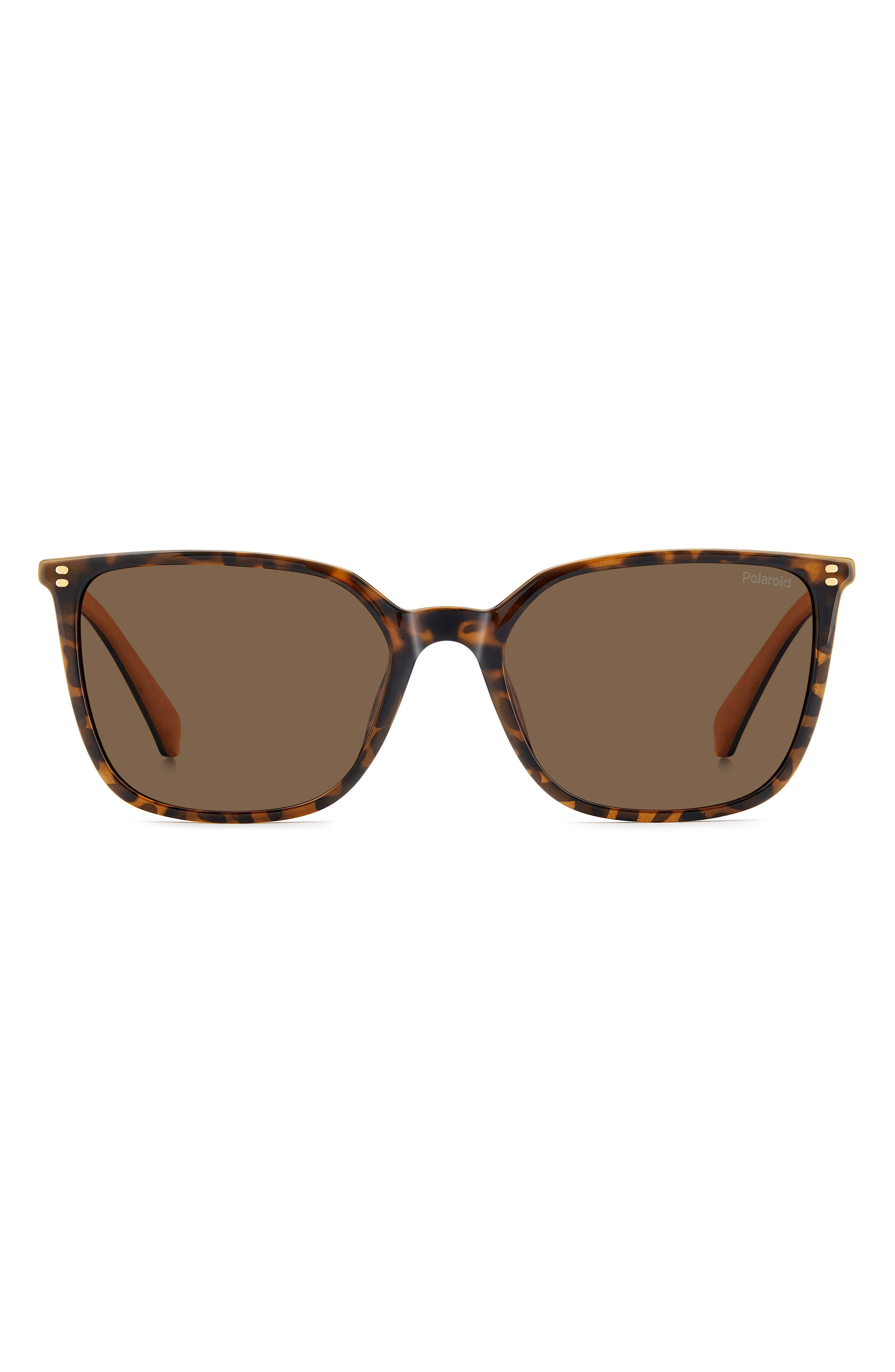 HAVANA/ BRONZE PZ