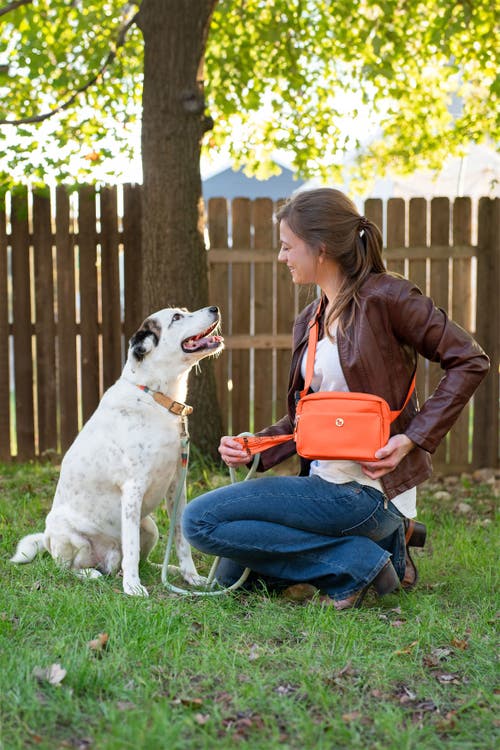 Puppington Walk Star Kit 3-in-1 Dog Walk Bag, Bowl, & Leash Plus Matching 90 Refill Dog Poop Bags
