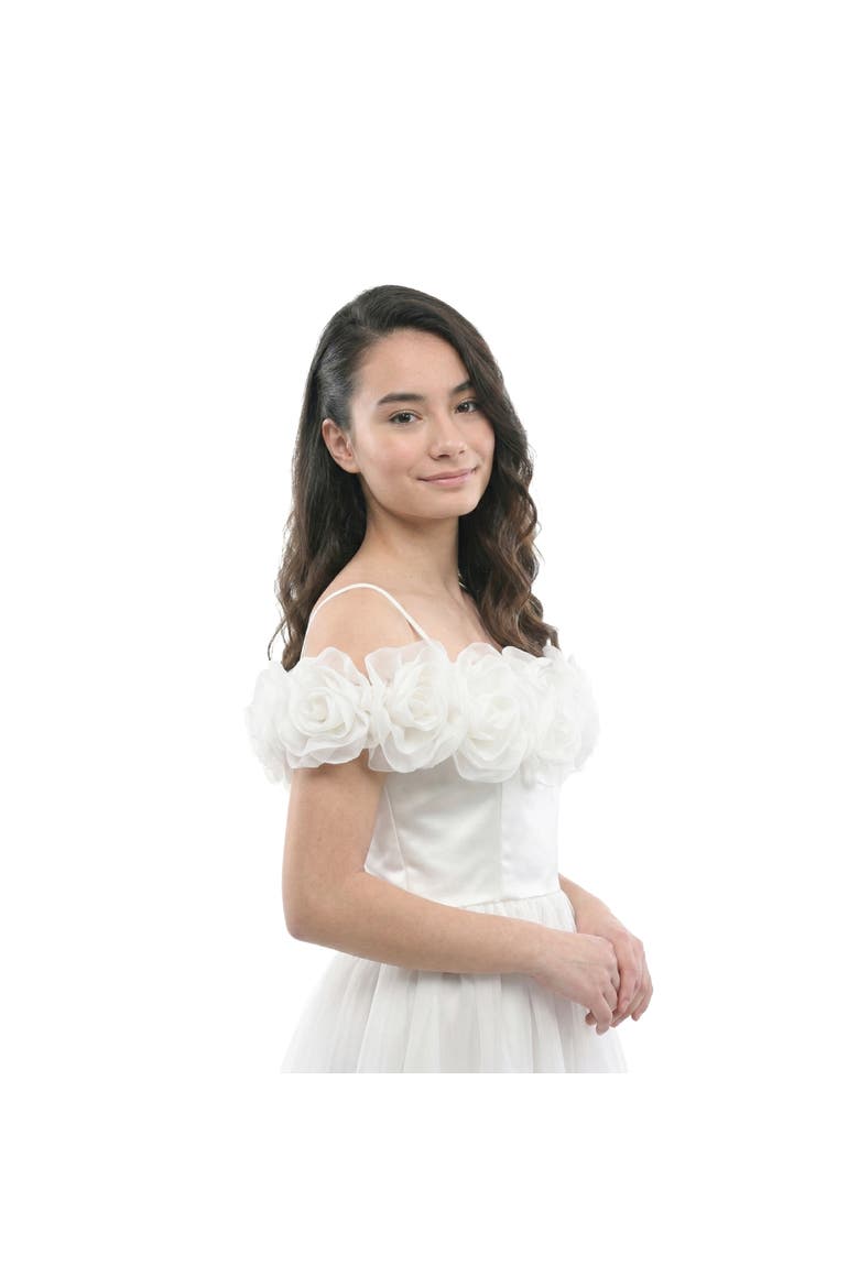 Chloe Tulle Dress, Alternate, color, White