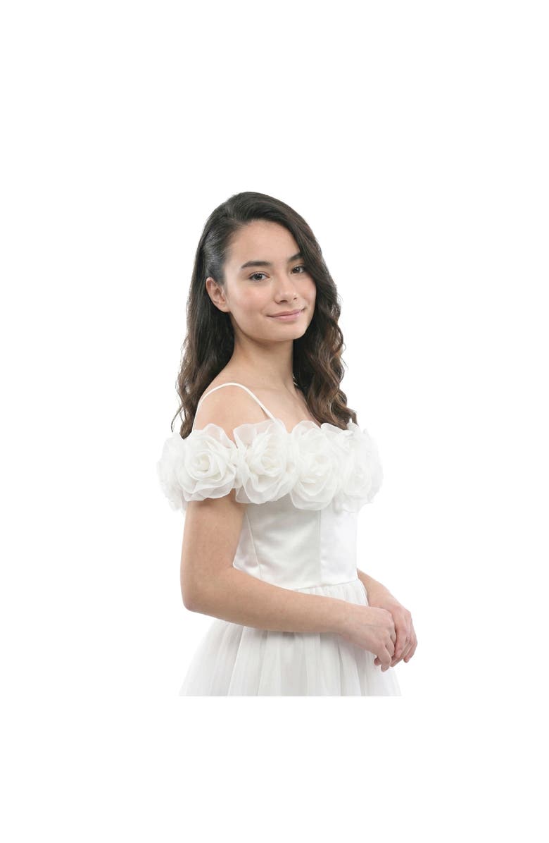 Tulleen Chloe Tulle Dress, Alternate, color, White