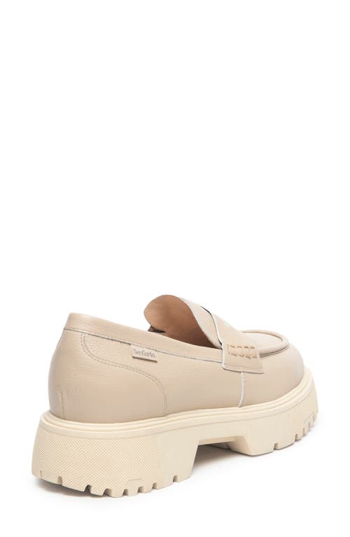 Nerogiardini Lug Sole Platform Loafer In Brown