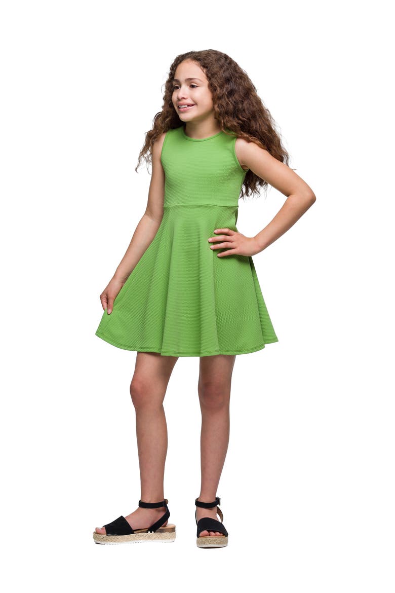 Sleeveless Knee Length Fit and Flare Dress, Alternate, color, Kiwi
