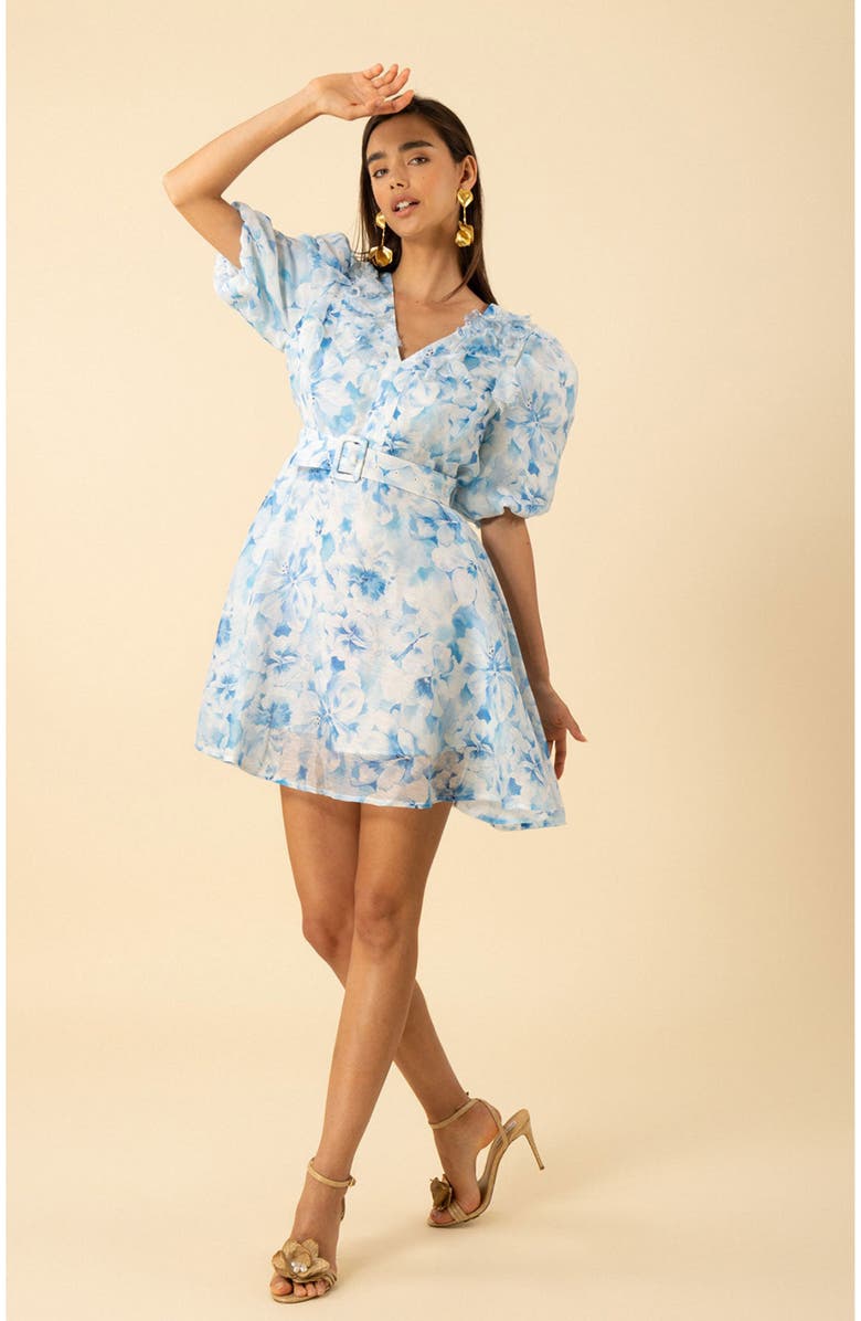 Hale Bob Promise Floral Organza Dress, Main, color, 