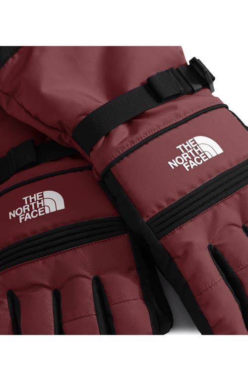 The North Face Womens Montana Ski Glove In Red