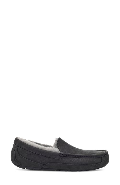 Ugg(r) Ascot Slipper In Black