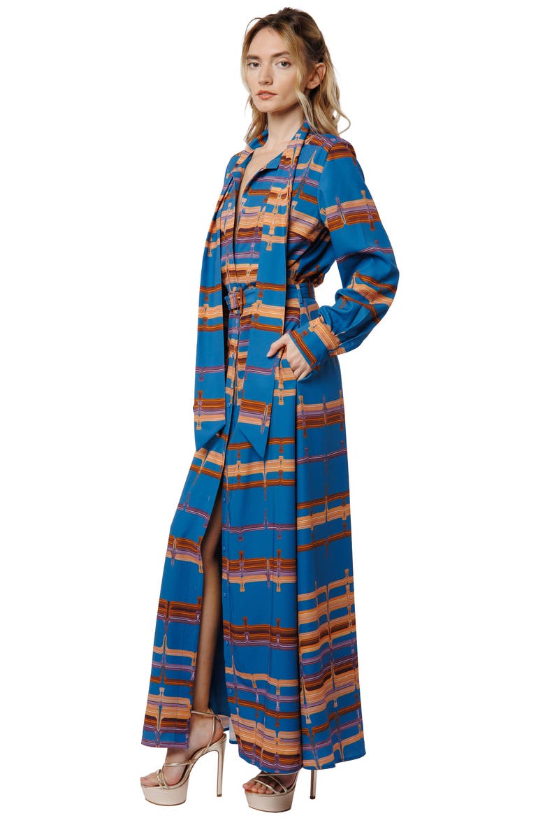 Jameela Belted Long Sleeve Maxi Shirt Dress, Alternate, color, BLUE