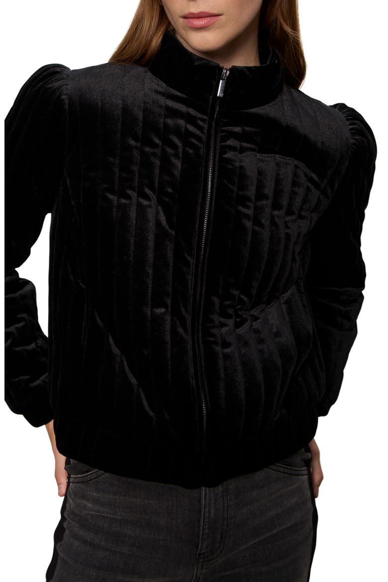 Quilted Velvet Jacket, Alternate, color, BLACK