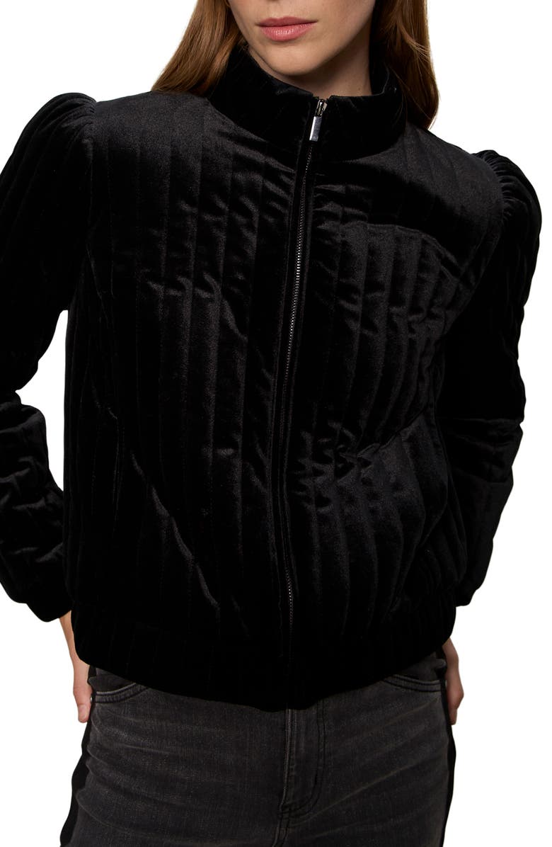 Sanctuary Quilted Velvet Jacket, Alternate, color, Black
