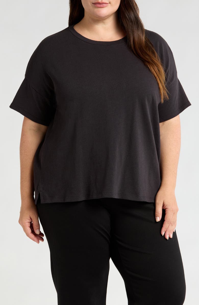 Eileen Fisher Organic Cotton Crewneck T-Shirt, Main, color,