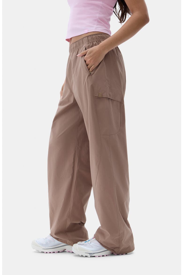 Gwen Wide Leg Cargo Pants, Alternate, color, SUEDE