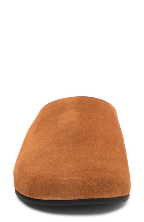 Jeffrey Campbell Content Suede Clog In Dark Tan Suede