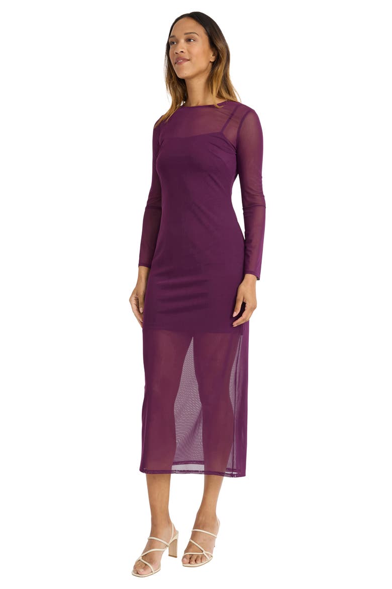 Long Sleeve Mesh Maxi Dress, Alternate, color, WINTER BLOOM