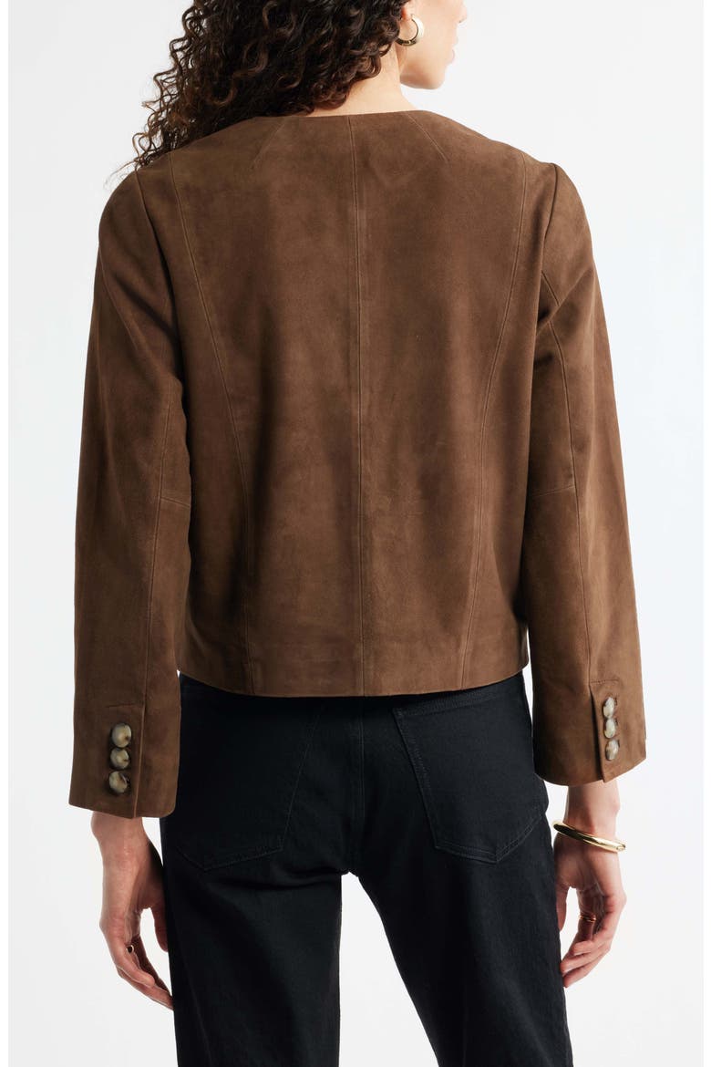 Crop Suede Jacket, Alternate, color, BROWN DRUM
