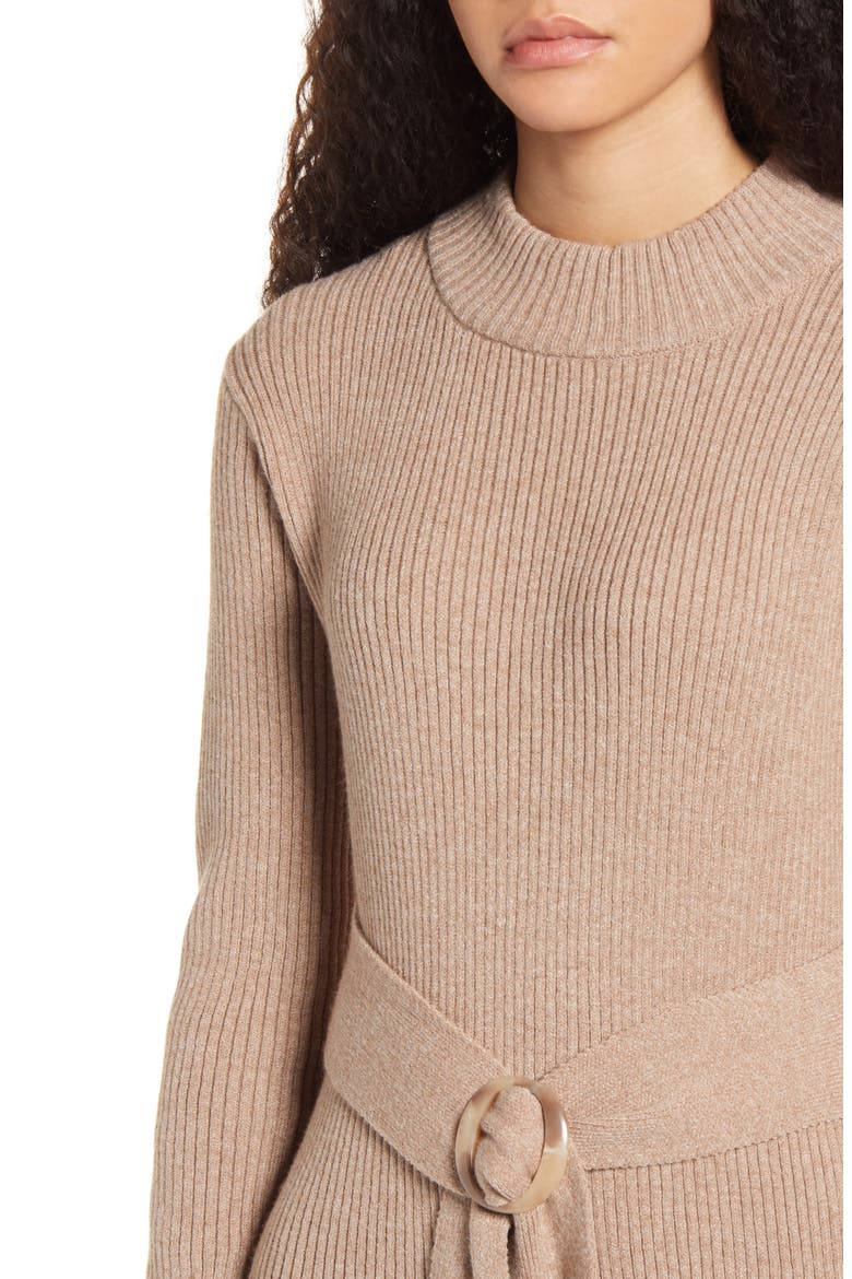 Long Sleeve Belted Sweater Dress, Alternate, color, OATMEAL
