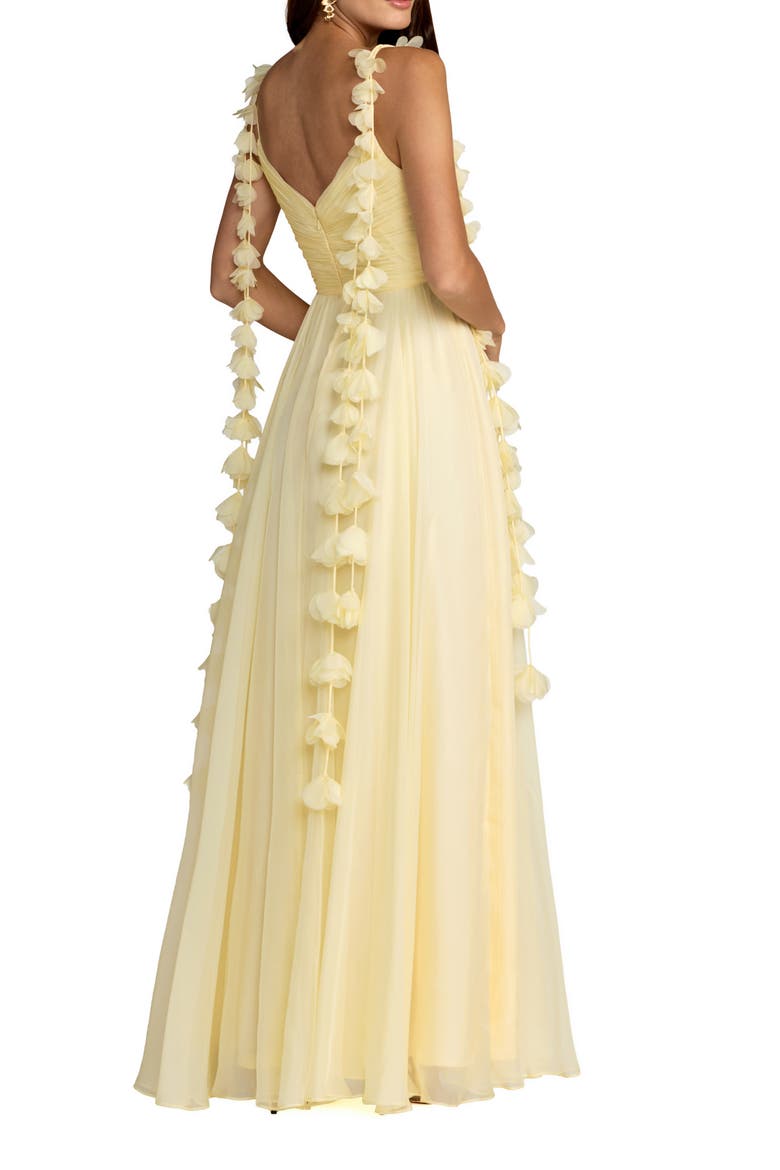 Floral Spaghetti Strap A Line Chiffon Gown, Alternate, color, Butter