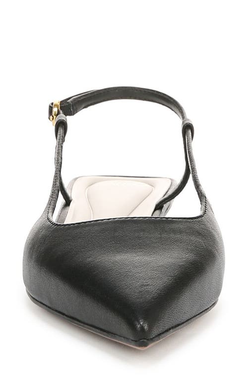 SARTO BY FRANCO SARTO SARTO BY FRANCO SARTO PHEBY SLINGBACK POINTED TOE FLAT 