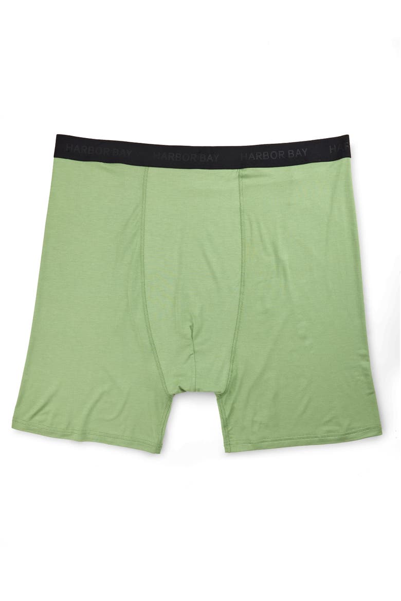 Big & Tall Modal 4 Inch Stretch Boxer Briefs V2, Main, color, FROST
