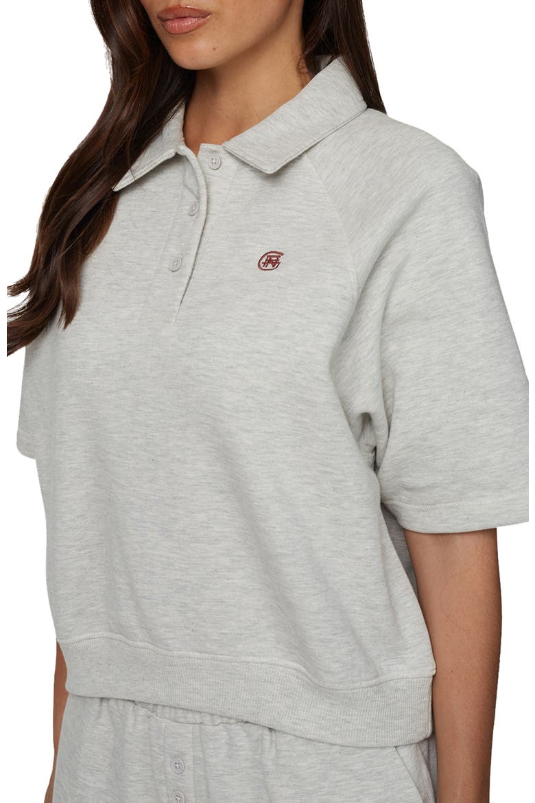 Boxy-Fit Raglan Sweat Polo, Alternate, color, Grey