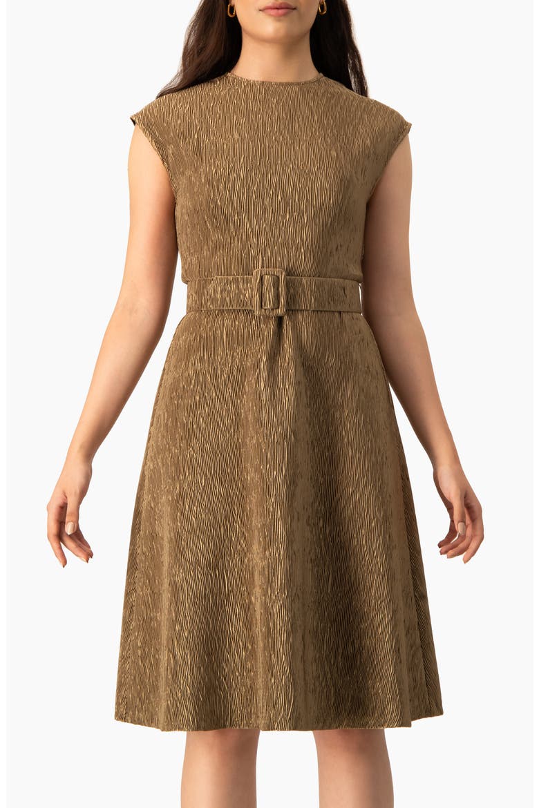 Textured Belted A-Line Dress, Cap Sleeve Fit-and-Flare with Buckle Belt, Main, color, Gold
