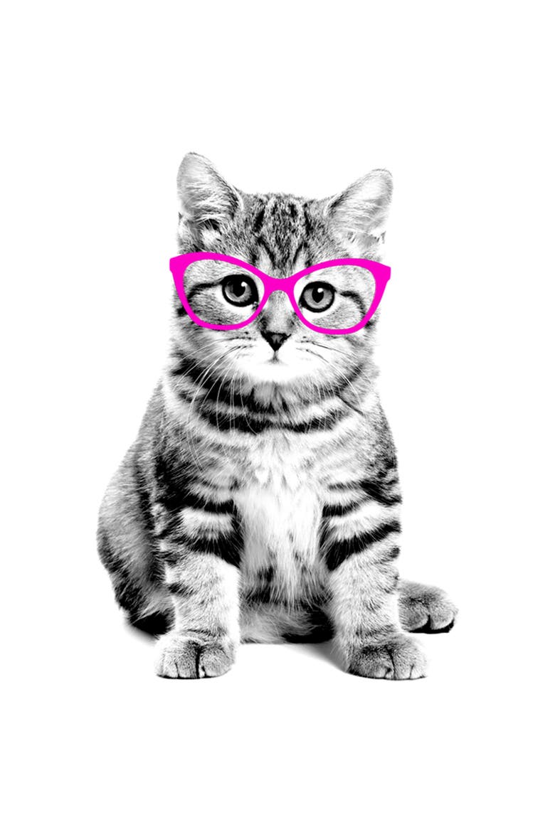 Girl's Lost Gods Fluffy Kitten in Pink Glasses  Graphic T-Shirt, Alternate, color, White