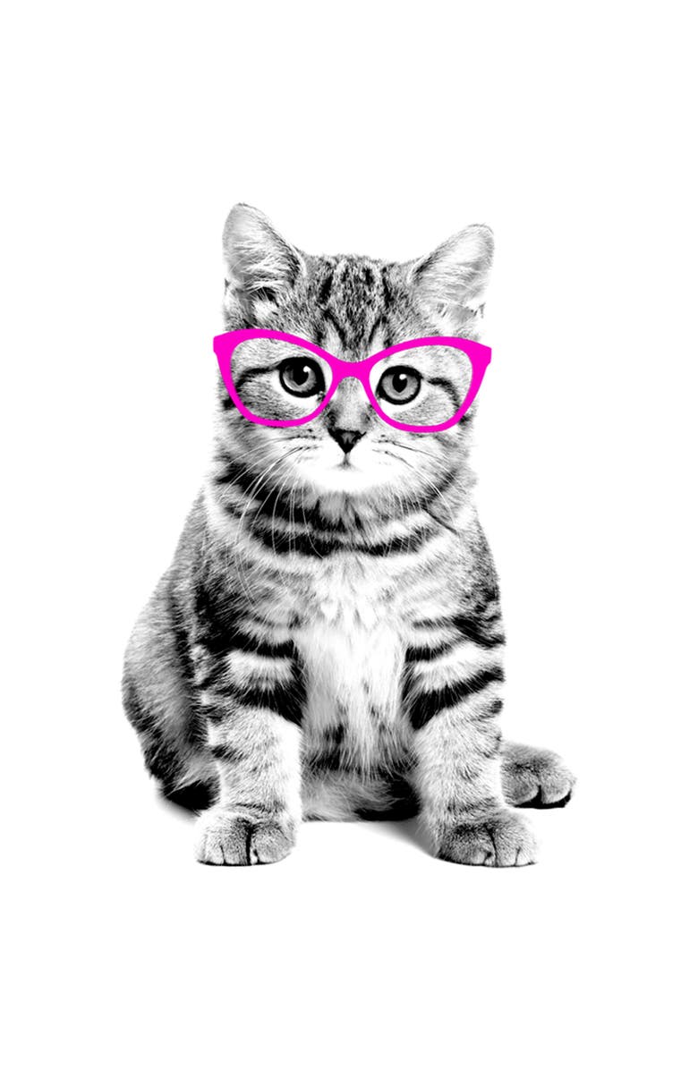 Lost Gods Girl's Lost Gods Fluffy Kitten in Pink Glasses Graphic T-Shirt, Alternate, color, White