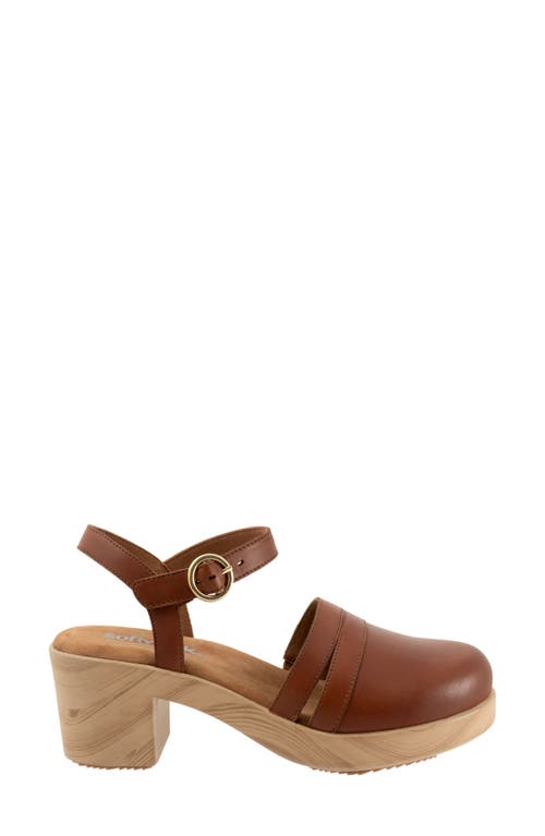 Shop Softwalk ® Fillmore Ankle Strap Platform Clog